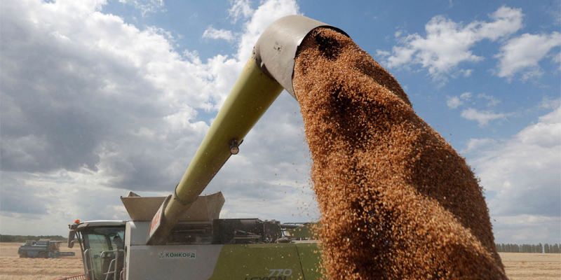 Чому росія погодилася на вивезення зерна з України