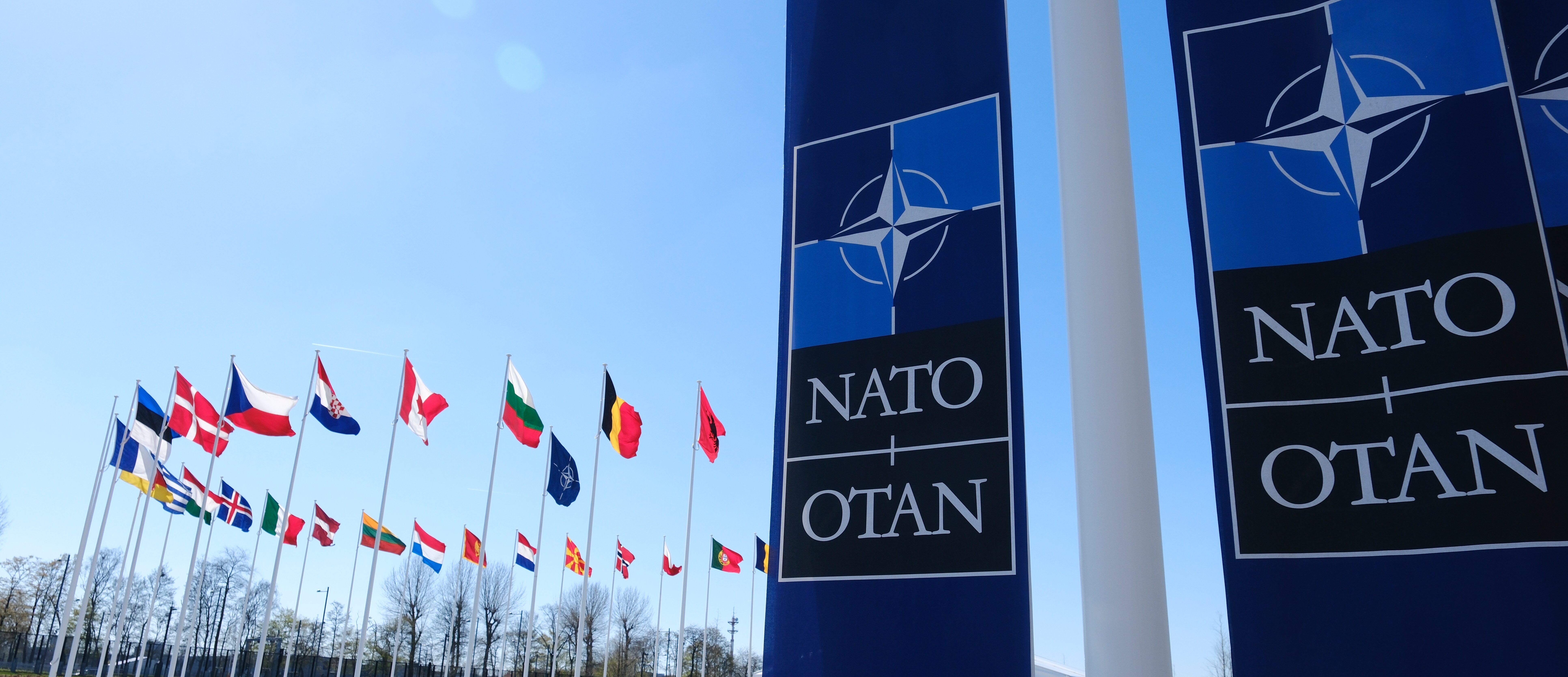 Stop Russia’s terror campaign – invite Ukraine to join NATO