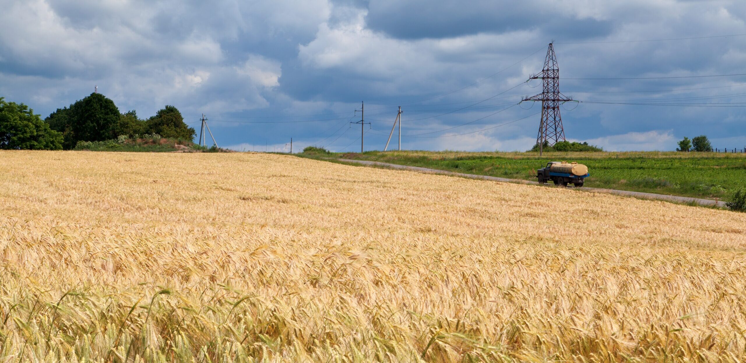 Russia pilfers another 180,000 tons of Ukrainian grain