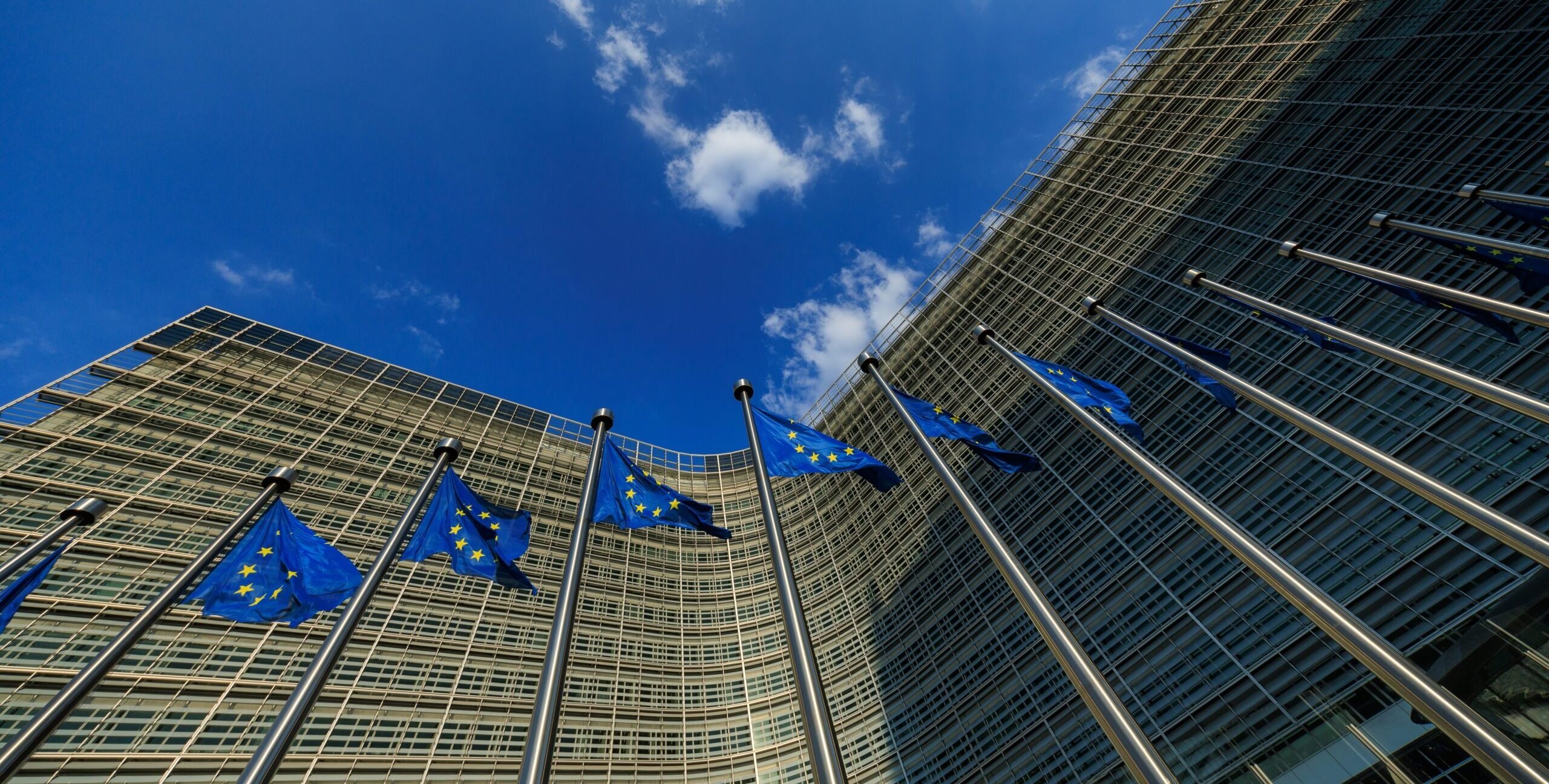 Newly composed European Commission to begin work no earlier than December