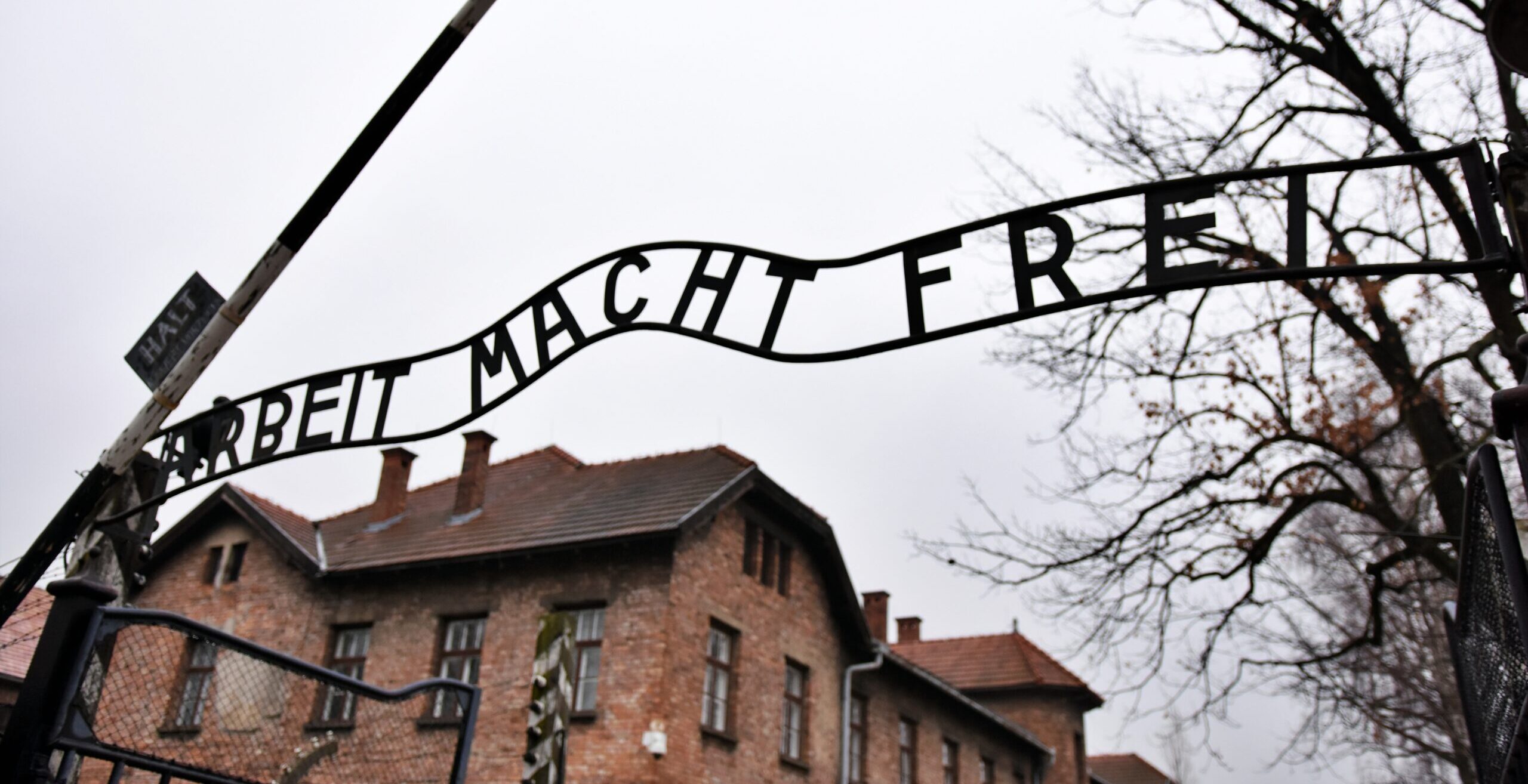 UWC marks 80th anniversary of Auschwitz liberation, honors the memory of Holocaust victims